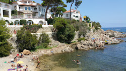 Photo de Cala Pedrosa avec un niveau de propreté de très propre