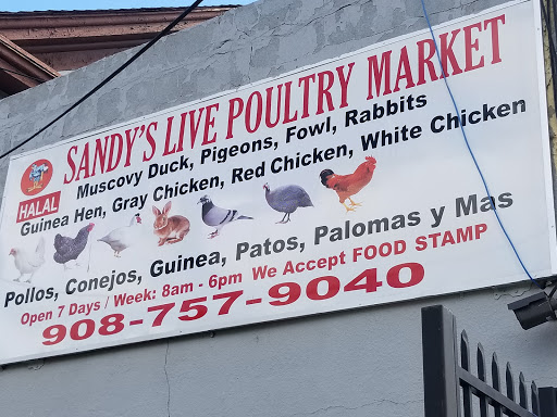 Grocery Store «Sandys Poultry Market», reviews and photos, 305 Madison Ave, Plainfield, NJ 07060, USA