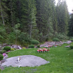 Photo n°1 de l'avis de Cristina.o fait le 20/06/2019 à 13:51 sur le  Caffè Val d'Anna à Urtijëi