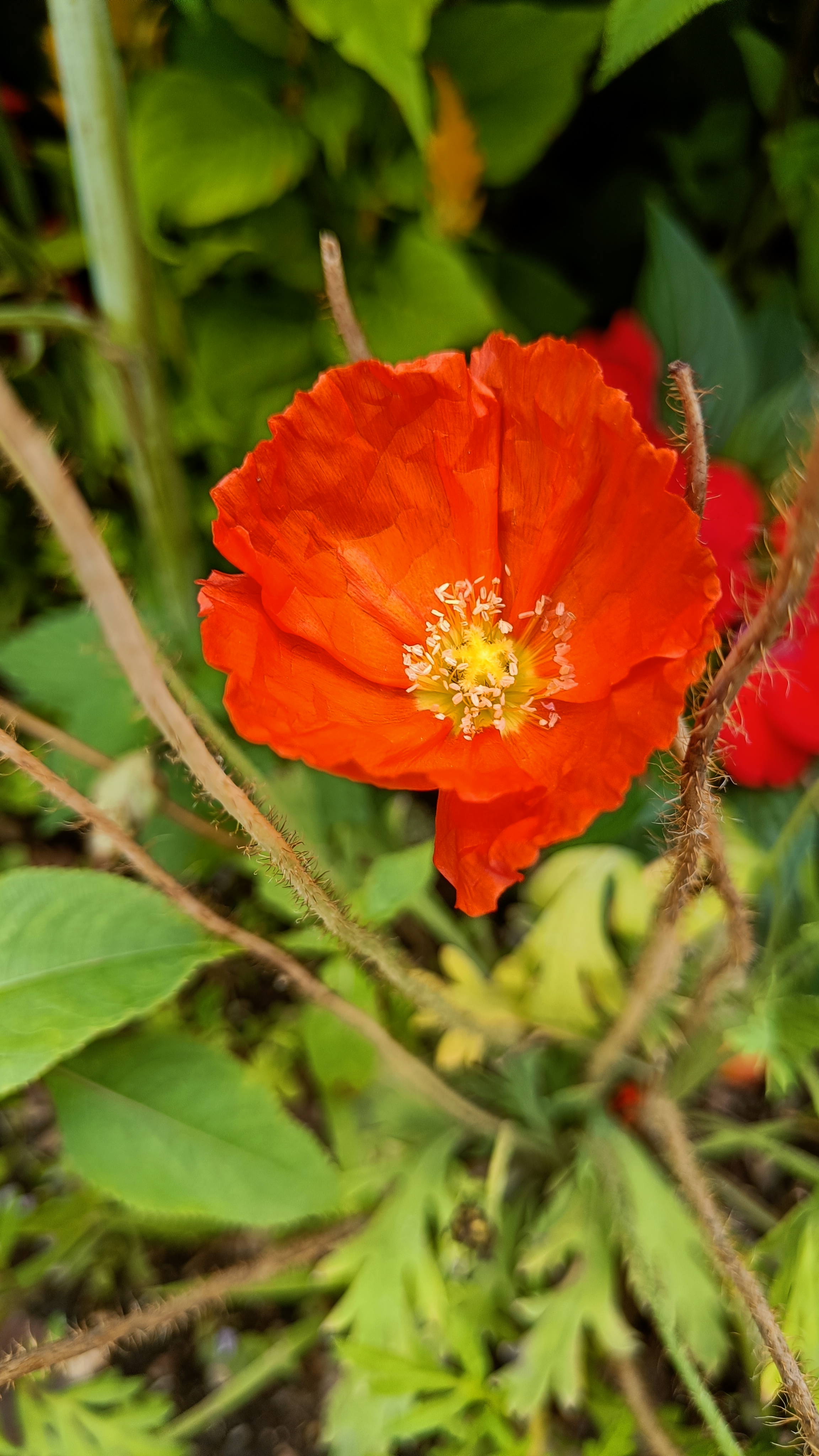 Photo n° 25 de l'avis de Eliot.o fait le 28/07/2023 à 16:35