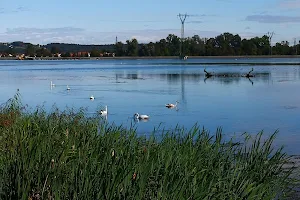Birding platform Lake Ptuj image