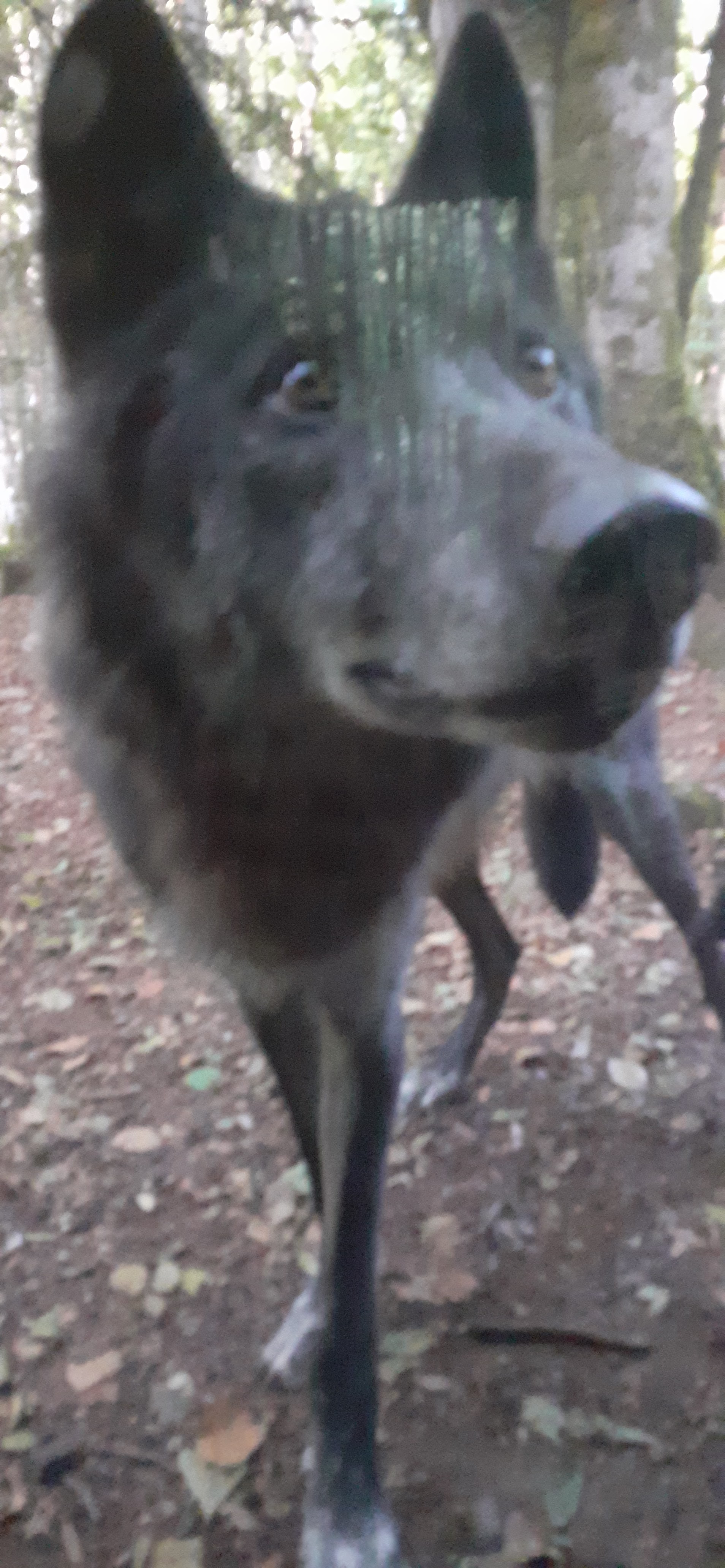 Photo n° 1 de l'avis de Orientale.v fait le 02/08/2022 à 16:21