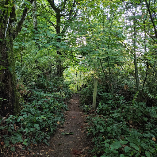 Park «Willis D. Tucker Community Park», reviews and photos, 6705 Puget Park Dr, Snohomish, WA 98296, USA