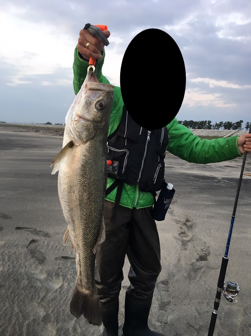 岩沼海岸 下野郷浜 宮城県岩沼市下野郷 公共ビーチ グルコミ