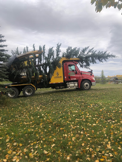 Alta West Tree Movers