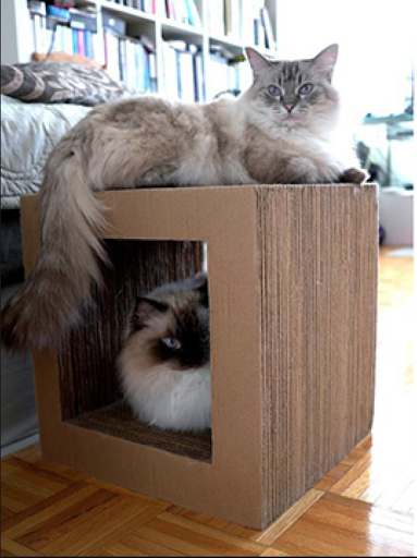 Pet Supply Store «Green Dog Pet Supply», reviews and photos, 4327 NE Fremont St, Portland, OR 97213, USA