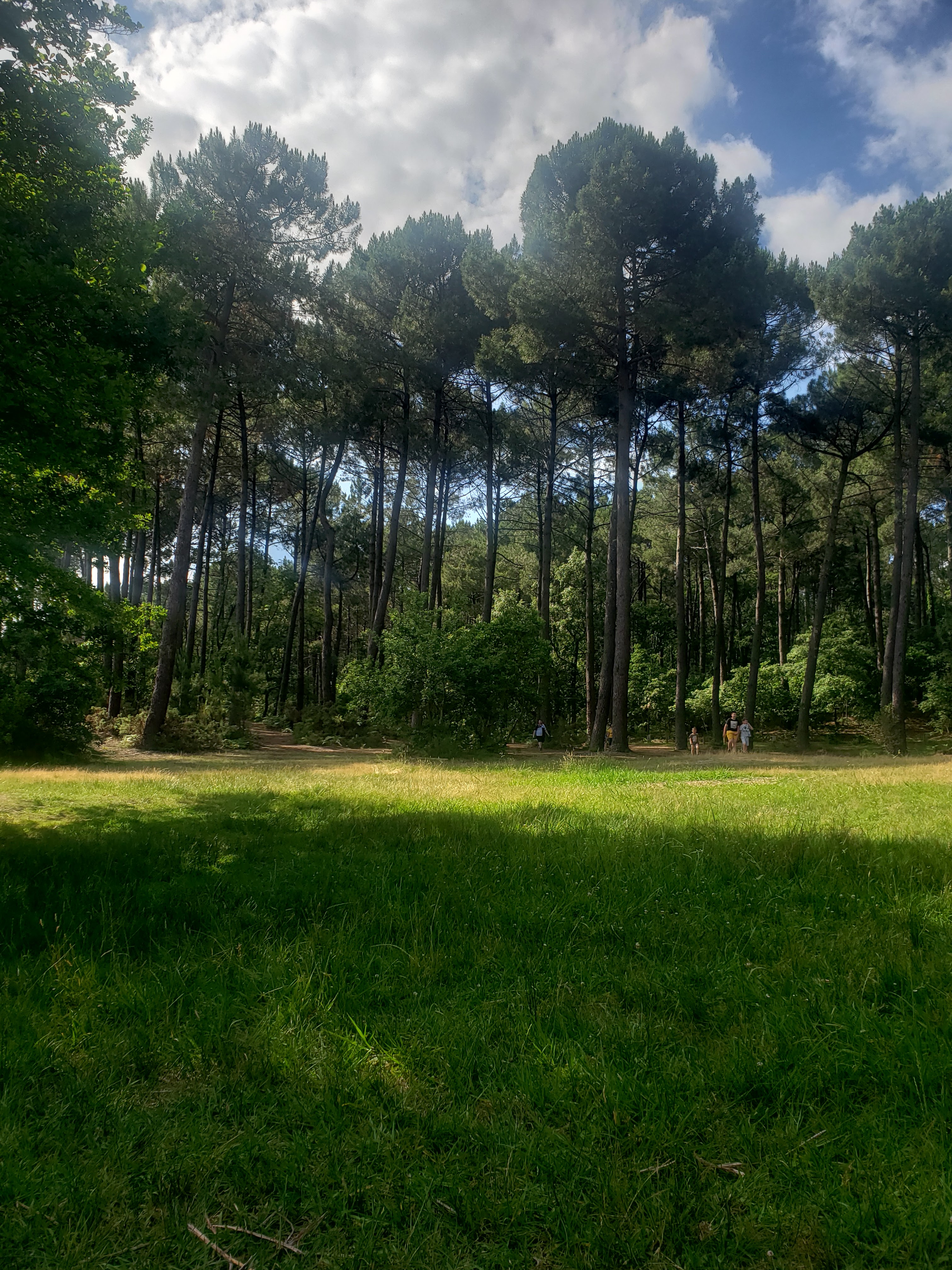Photo n° 7 de l'avis de Danyele.e fait le 09/10/2019 à 16:28