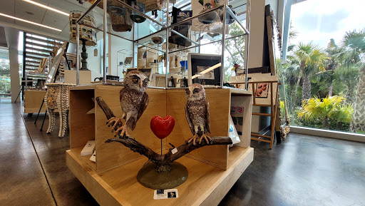 Art Center «BIG ARTS Sanibel», reviews and photos, 900 Dunlop Rd, Sanibel, FL 33957, USA