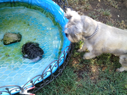 Liquor Store «Village Liquor», reviews and photos, 10410 Arlington Ave, Riverside, CA 92505, USA