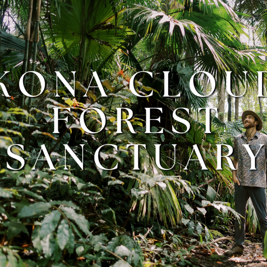 Kona Cloud Forest Sanctuary