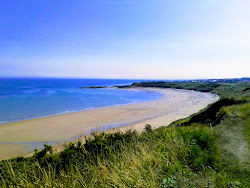 St.Helens Bay Beach'in fotoğrafı vahşi alan
