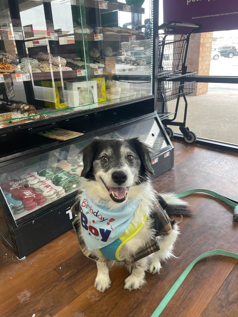 Pet Supplies Plus Aberdeen