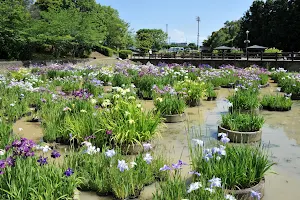 Toyotsuhanashobu Park image