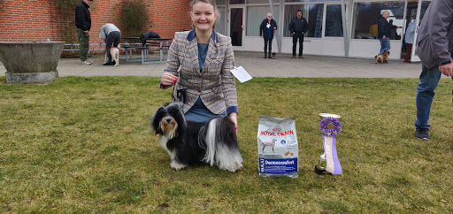 Cafeteria Kirkevej 13 in Brenderup, Skanderborg
