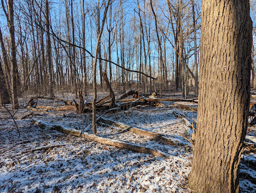 Nature Preserve «Meltzer Woods», reviews and photos, 1522 S 600 E, Shelbyville, IN 46176, USA