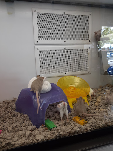 Pet Supply Store «Petco Animal Supplies», reviews and photos, 9078 SE Sunnyside Rd, Clackamas, OR 97015, USA