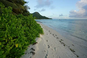 Grand Anse beach image