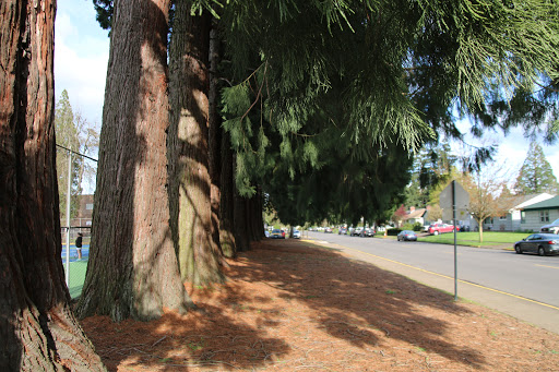 Park «Willamalane Park», reviews and photos, 1276 G St, Springfield, OR 97477, USA