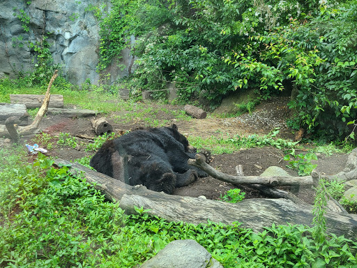 Zoo «Buttonwood Park Zoo», reviews and photos, 425 Hawthorn St, New Bedford, MA 02740, USA