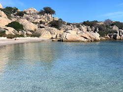 Sapling beach'in fotoğrafı biraz temiz temizlik seviyesi ile