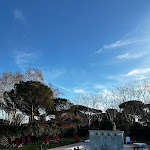 Photo n°2 de l'avis de João.o fait le 25/02/2024 à 06:30 sur le  QC Termeroma à Fiumicino