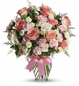 Florist «S. F. Falconer Florist, Inc.», reviews and photos, 8 S Maryland Ave, Port Washington, NY 11050, USA