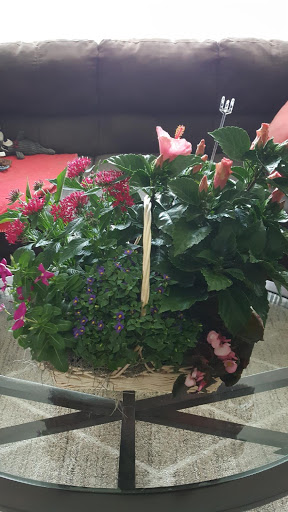 Florist «Market Garden Floral Co», reviews and photos, 1418 N Semoran Blvd #130, Orlando, FL 32807, USA