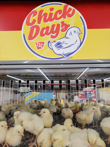 Home Improvement Store «Tractor Supply Co.», reviews and photos, 1125 Arsenal St, Watertown, NY 13601, USA