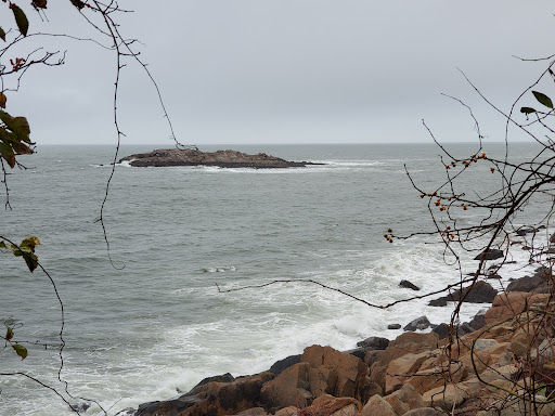 Museum «Hammond Castle Museum», reviews and photos, 80 Hesperus Ave, Gloucester, MA 01930, USA