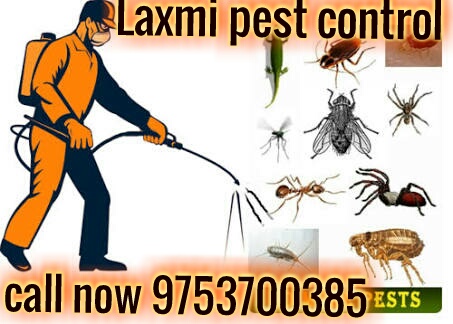Laxmi Pest Control Jaipur