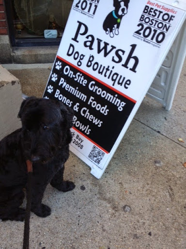 Pet Store «Pawsh Dog Boutique», reviews and photos, 31 Gloucester St, Boston, MA 02115, USA