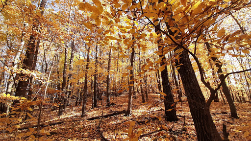 Nature Preserve «Maplewood Nature Center», reviews and photos, 2659 E 7th St, St Paul, MN 55119, USA