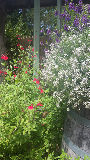 Wine Store «Nassau Valley Vineyards-Winery», reviews and photos, 32165 Winery Way, Lewes, DE 19958, USA