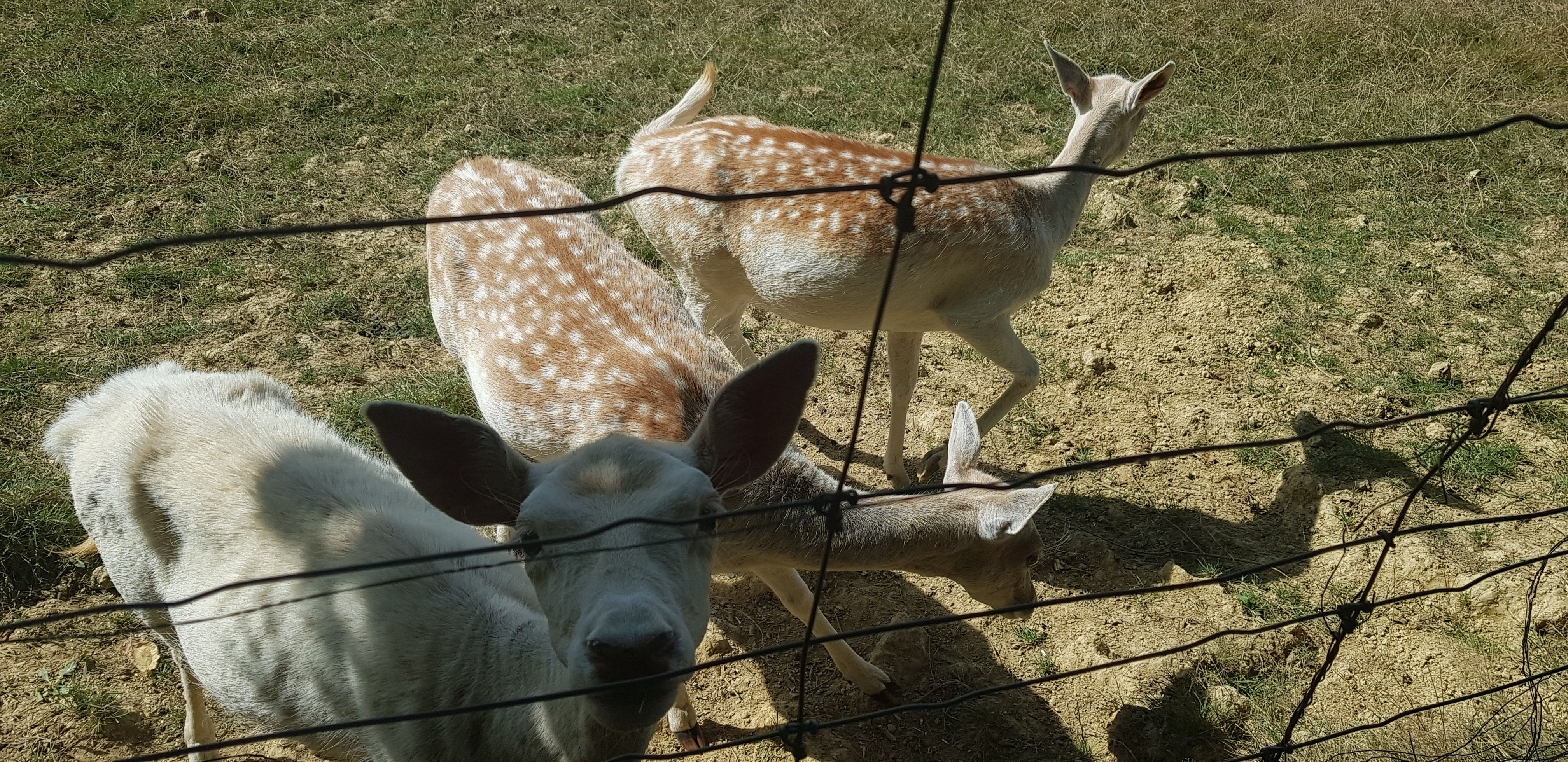 Photo n° 2 de l'avis de Estelle.e fait le 30/08/2018 à 06:33