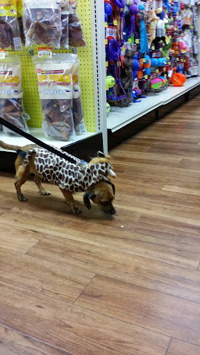 Pet Supply Store «Pet Supermarket», reviews and photos, 2924 13th St, St Cloud, FL 34769, USA