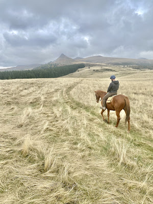 Sancy Cheval à Chastreix