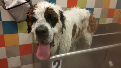 Pet Supply Store «Unleashed by Petco», reviews and photos, 1572 Foothill Blvd, La Verne, CA 91750, USA