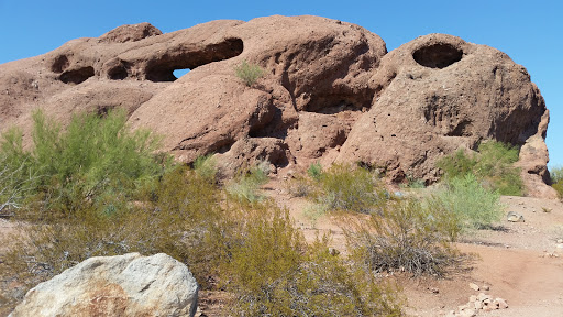 Botanical Garden «Desert Botanical Garden», reviews and photos, 1201 N Galvin Pkwy, Phoenix, AZ 85008, USA