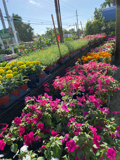 Wholesale Plant Nursery «Galloway Farm Nursery Inc.», reviews and photos, 7790 SW 87th Ave, Miami, FL 33173, USA