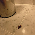 Photo n°1 de l'avis de Manuel.n fait le 25/11/2021 à 14:40 sur le  INATEL Flores Hotel à Santa Cruz das Flores