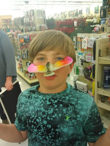 Craft Store «Hobby Lobby», reviews and photos, 950 W Poplar Ave, Collierville, TN 38017, USA