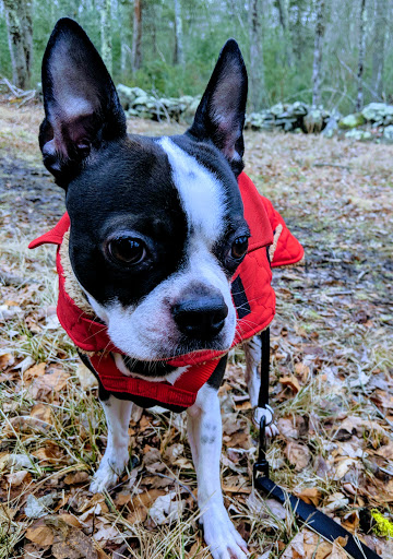 Nature Preserve «Wildlands Trust - Willow Brook Farm Preserve», reviews and photos, 99 Barker St, Pembroke, MA 02359, USA
