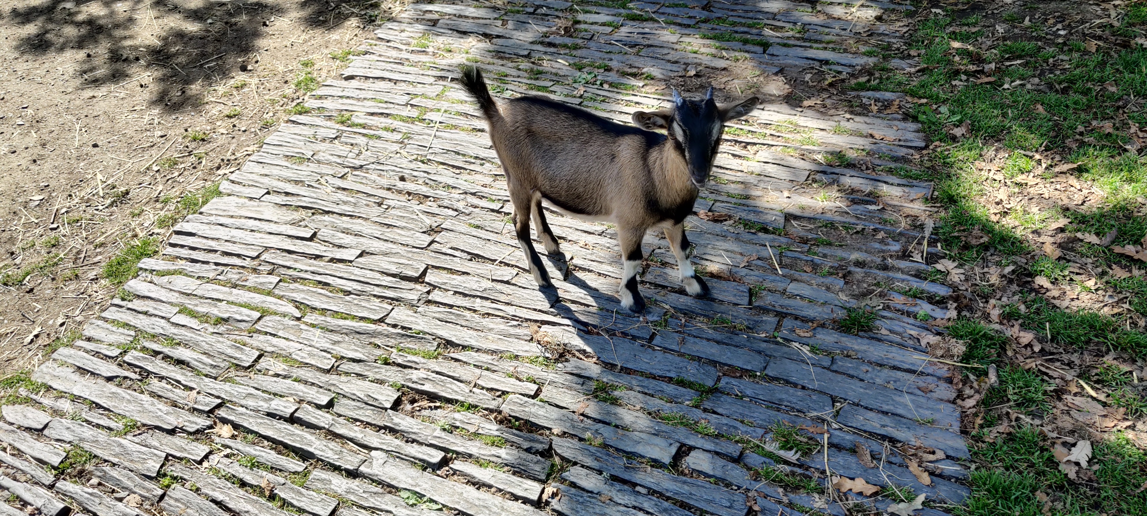 Photo n° 24 de l'avis de Antoine.O fait le 18/11/2018 à 13:49