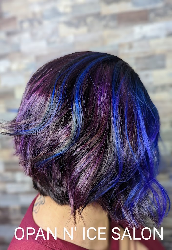 OPAL N' ICE SALON LLC 54403