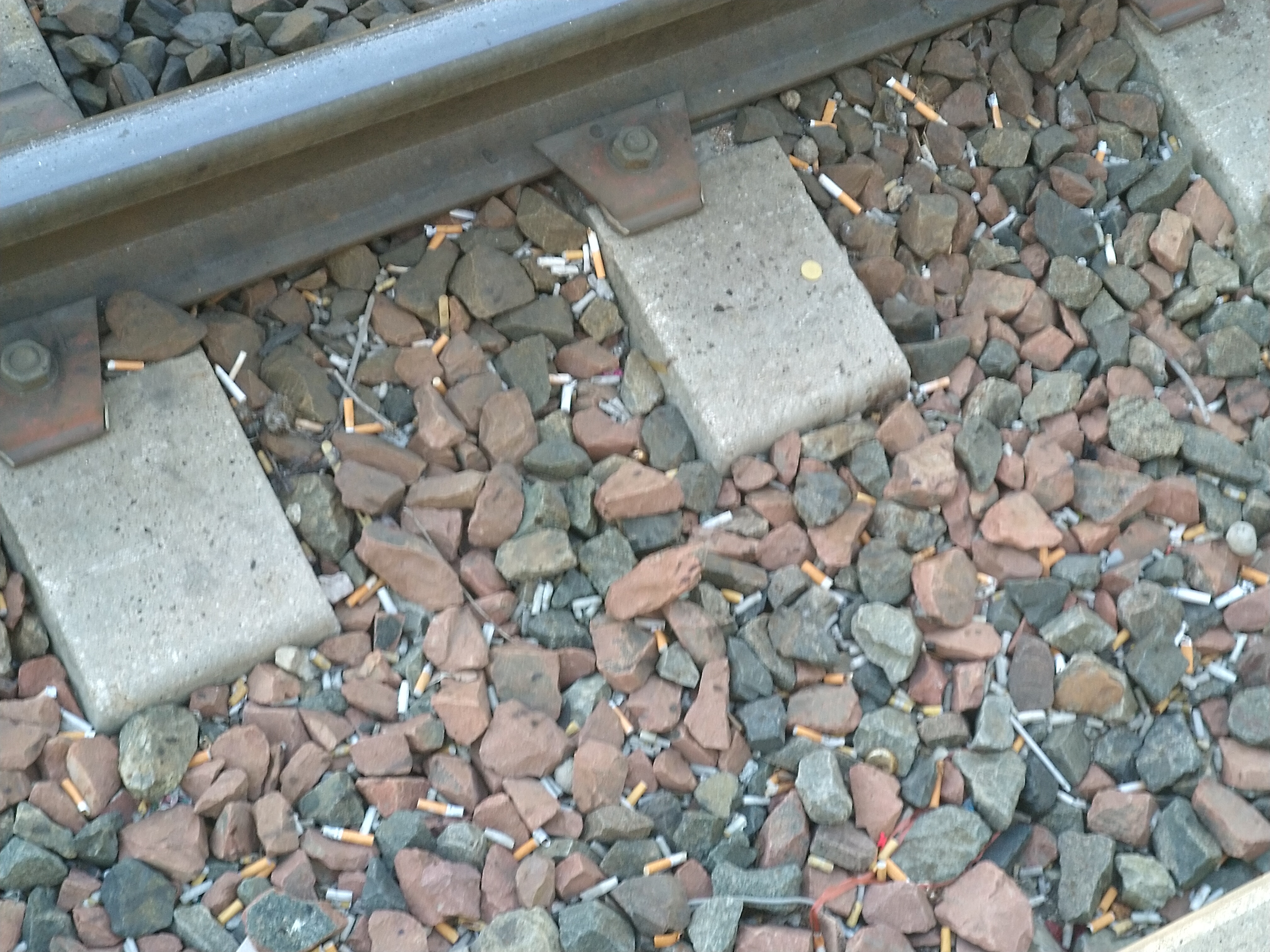 Photo n° 1 de l'avis de Fred.o fait le 26/03/2019 à 16:32