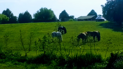 Tourist Attraction «Copper Canyon Ranch LLC», reviews and photos, 14750 Ovil Rd, Hopkinsville, KY 42240, USA