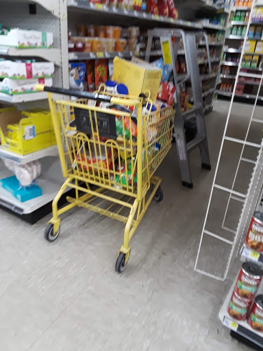 Discount Store «Dollar General», reviews and photos, 14147 W Colonial Dr, Winter Garden, FL 34787, USA