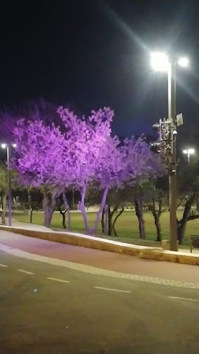 עולמיא - מתכנן אירועים