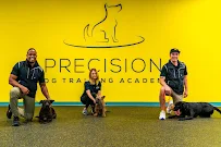 Precision Dog Training Academy - Car repair in Shawnee, KS, Overland Park - Rated 5.0/5