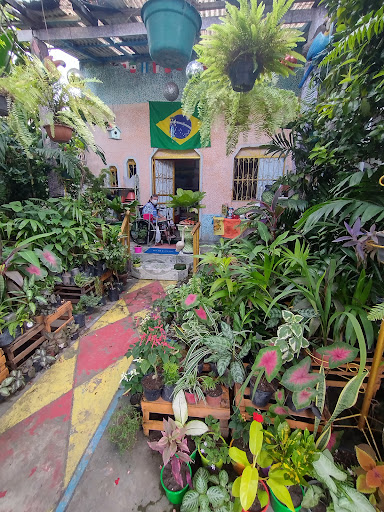 Casa das Plantas